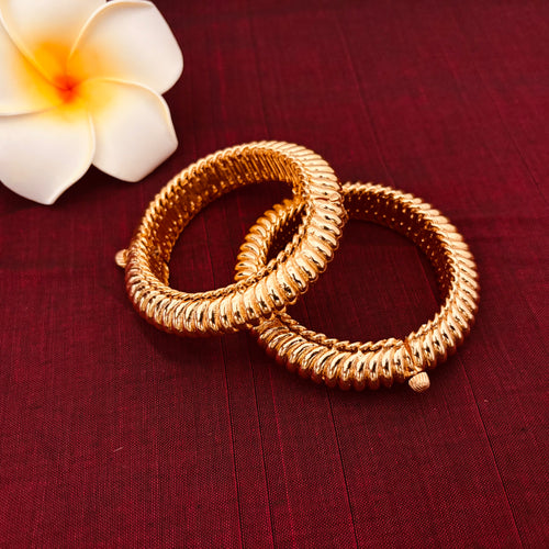 Shindeshahi Tode | Maharashtrian Bangles | Sonsala| शिंदेशाही तोडे