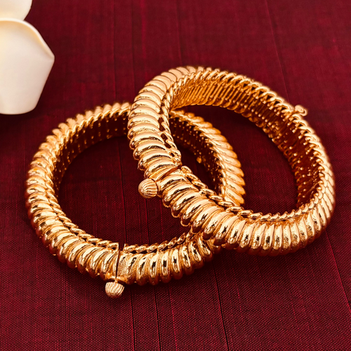 Shindeshahi Tode | Maharashtrian Bangles | Sonsala| शिंदेशाही तोडे