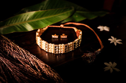चिंचपेटी | Chichpeti + Earnings